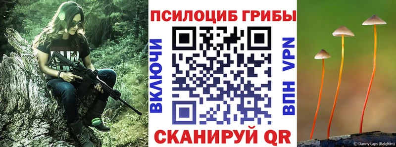 Купить  Заволжье  Галлюциногенные грибы MAGIC MUSHROOMS 